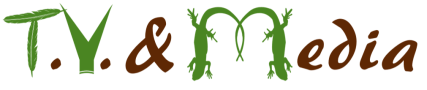 TV & Media gr